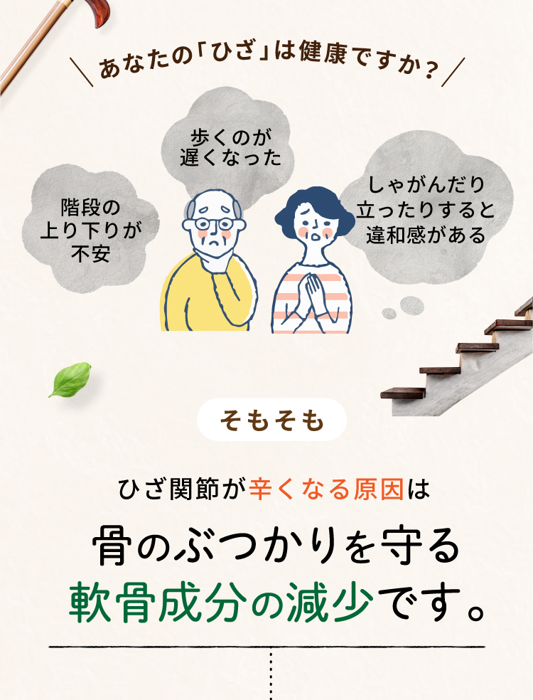 ひざ関節が辛くなる原因は骨のぶつかりを守る軟骨成分の減少です。