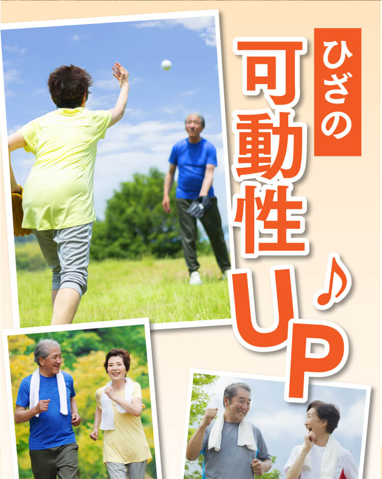 これらの成分で、ひざの可動性UP♪