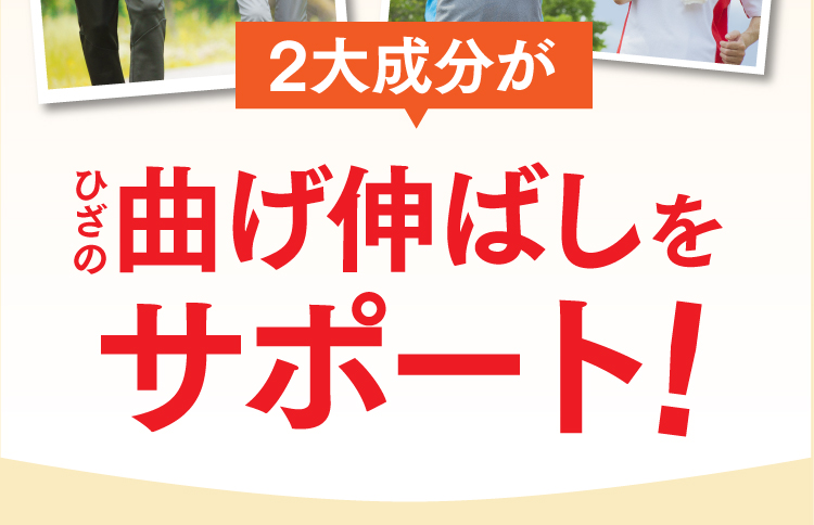 二大成分がひざの曲げ伸ばしをサポート。