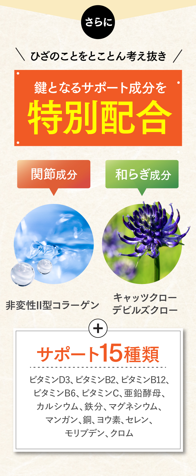 さらに、ひざのことをとことん考え抜いたサポート成分を配合。関節成分である非変性2型コラーゲン、和らぎ成分であるキャッツクロ―・デビルズクロ―、１５種類のビタミン・ミネラルを凝縮しました。