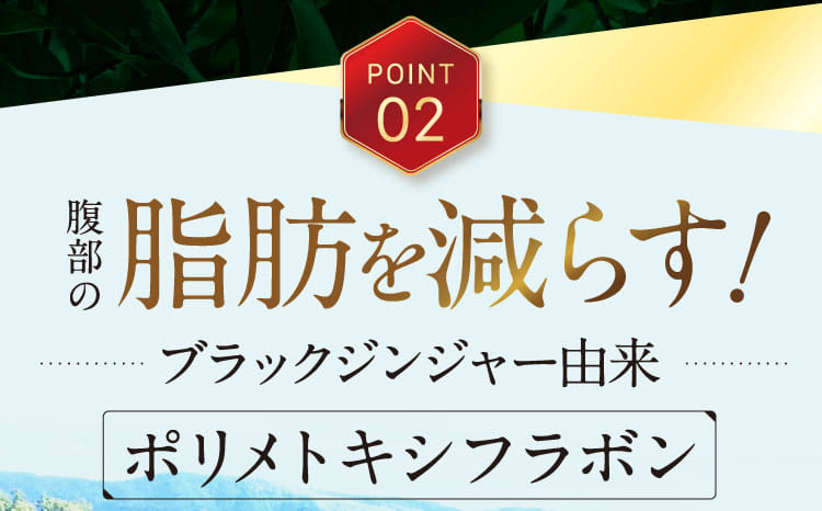 Point2　腹部の脂肪を減らす！ブラックジンジャー由来ポリメトキシフラボン。