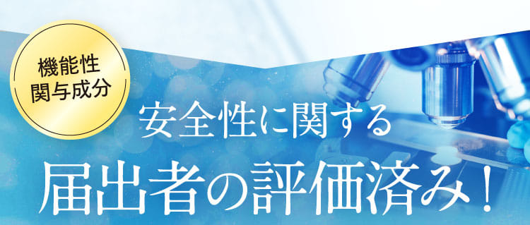 安全性に関する届出者の評価済み！