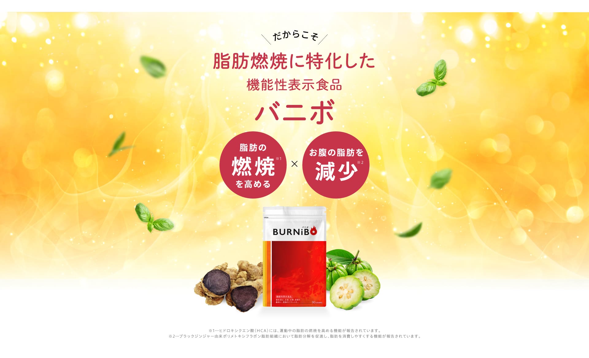 だからこそ、脂肪燃焼を高めてお腹の脂肪を減少するバニボ