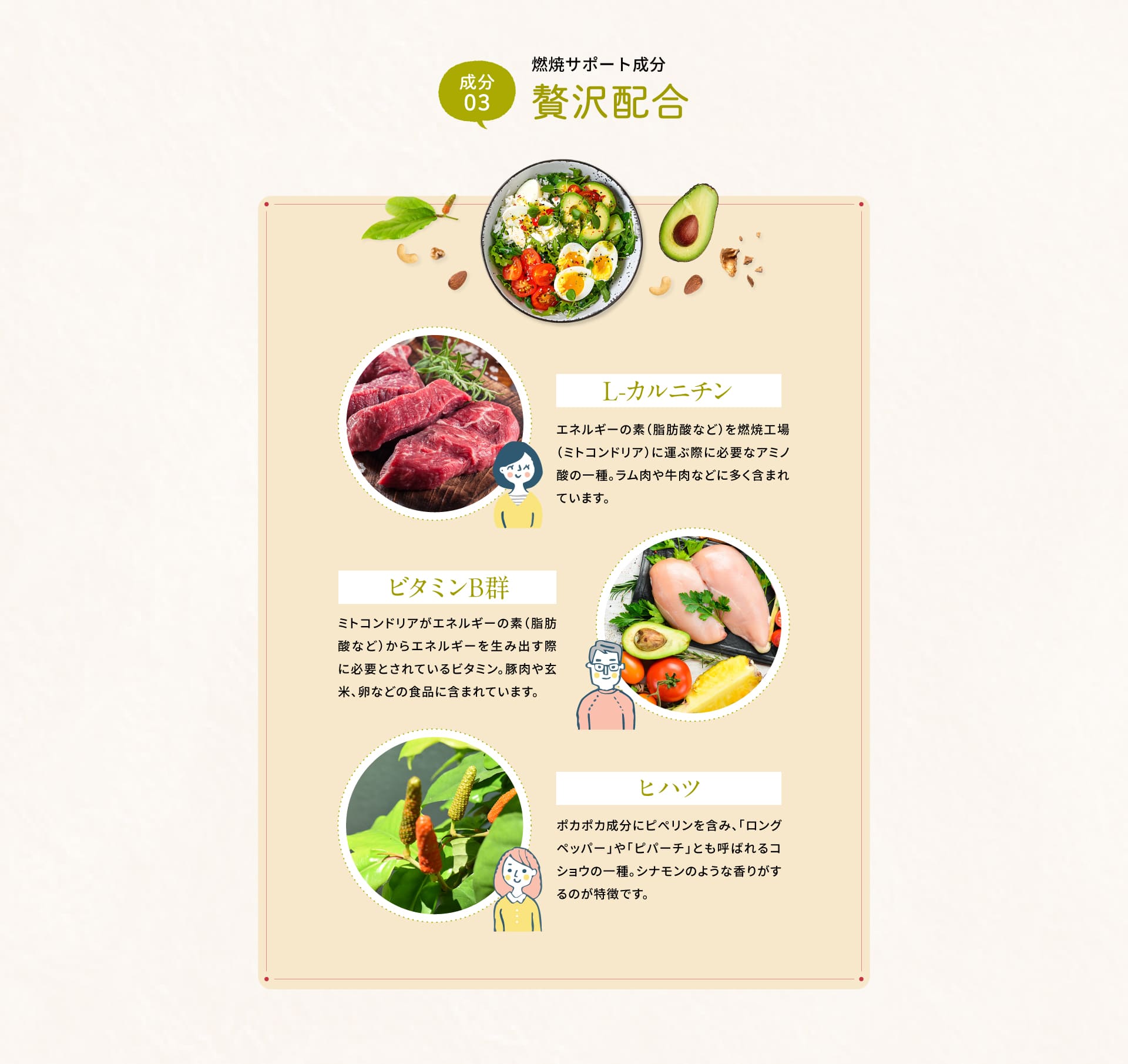 さらに燃焼サポート成分も贅沢配合。Lカルニチン、ビタミンB群、ヒハツ