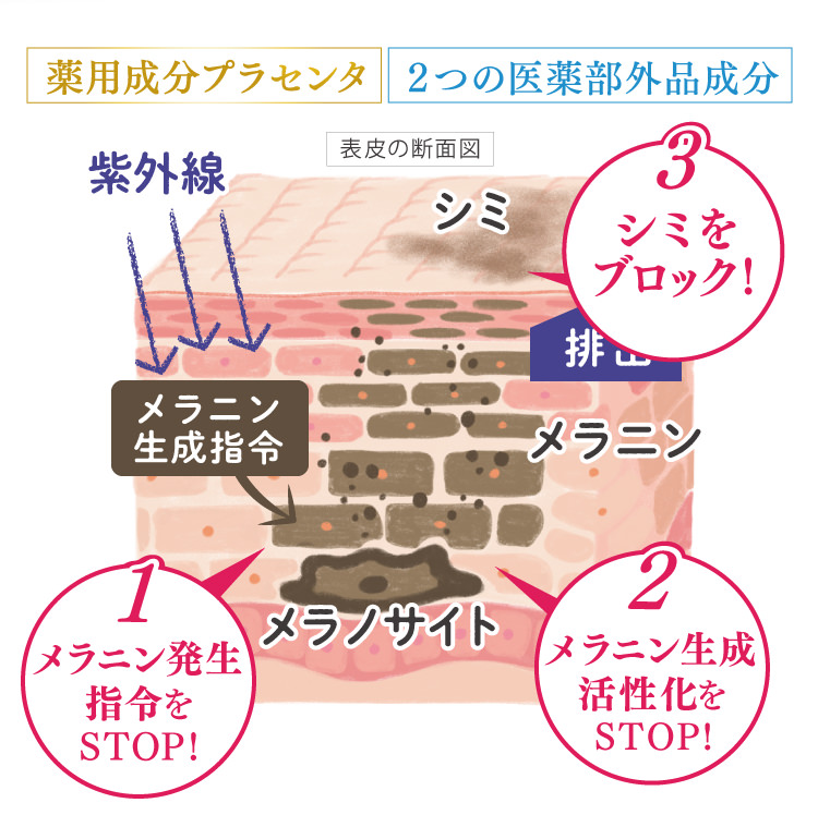 3つの角度からシミの発生を徹底的に防ぎます