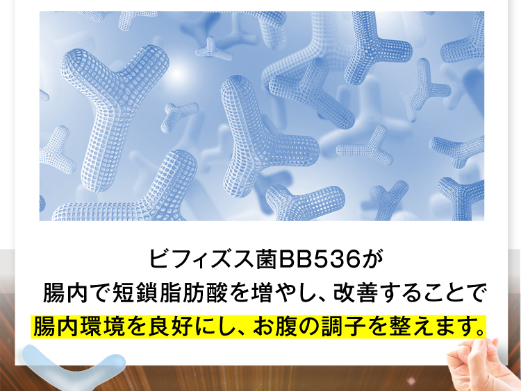 ビフィズス菌BB536が腸内フローラを酸性に傾け改善することで、腸内環境を良好にし、お腹の調子を整えます。