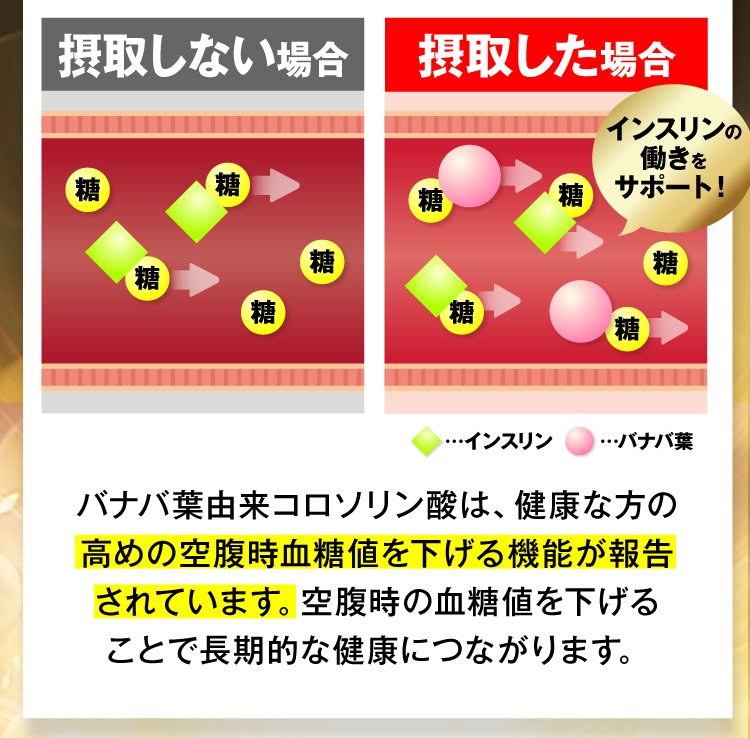 バナバ葉由来コロソリン酸は、健康な方の高めの空腹時血糖値を下げる機能が報告されています。空腹時の血糖値を下げることで長期的な健康につながります。