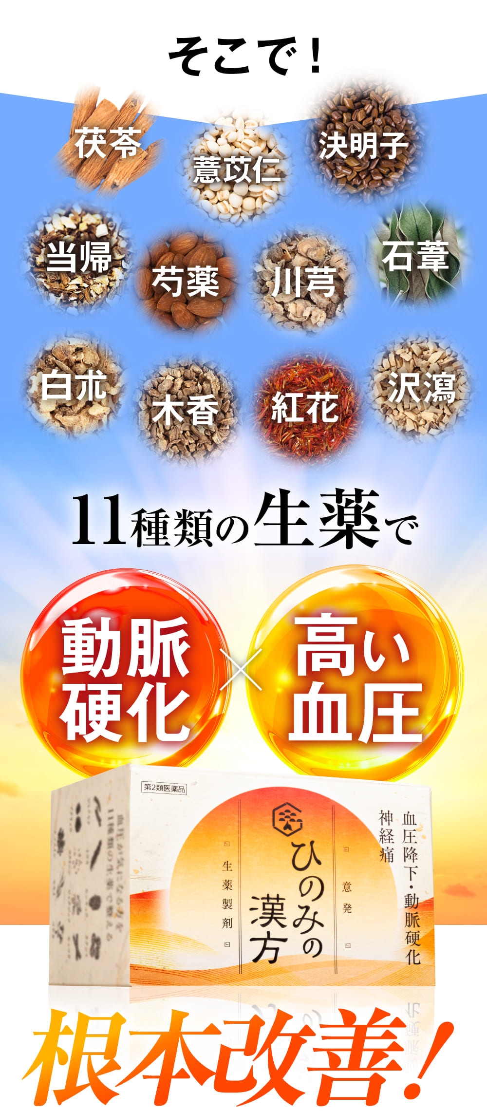 そこで！11種類の生薬の力で根本改善。