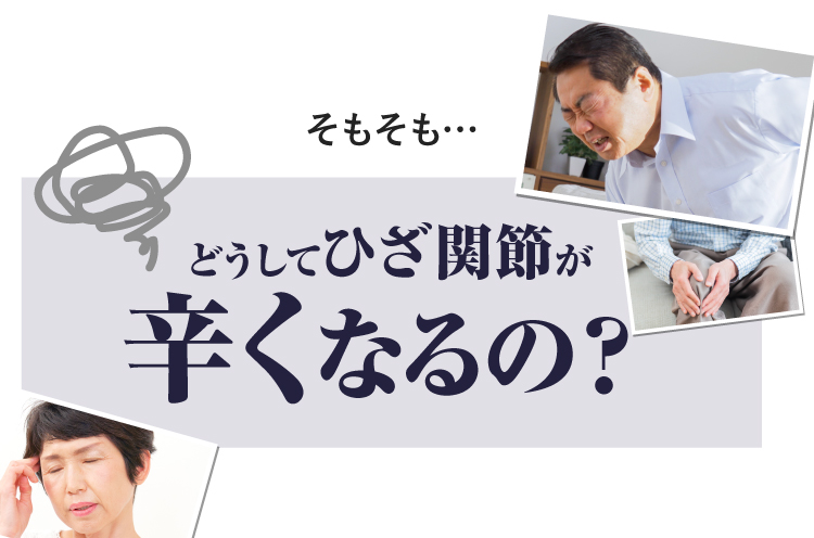 どうしてひざ関節が辛くなるの？