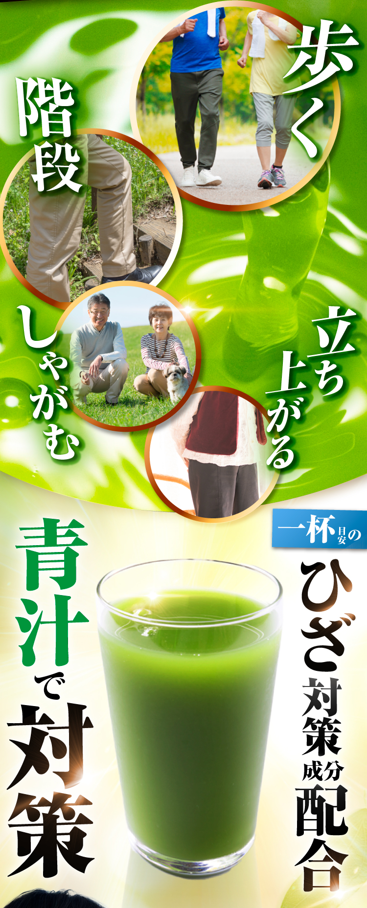ひざ対策成分配合青汁で対策