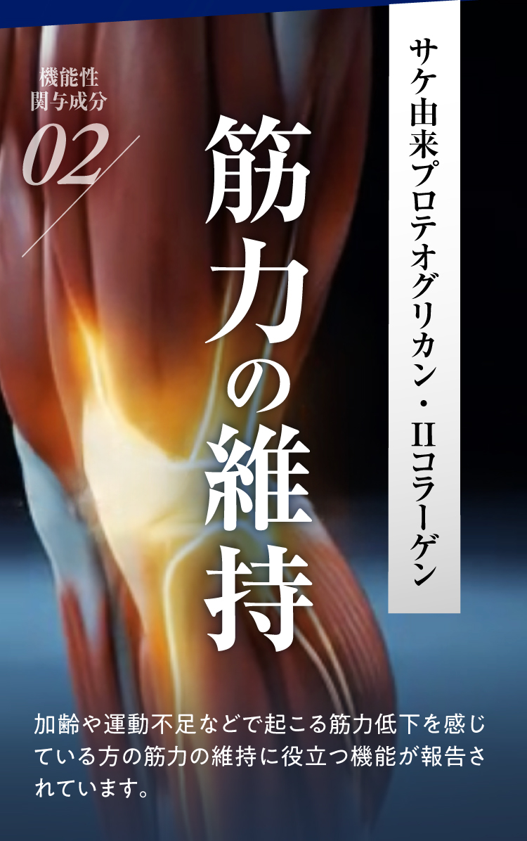 筋力の維持