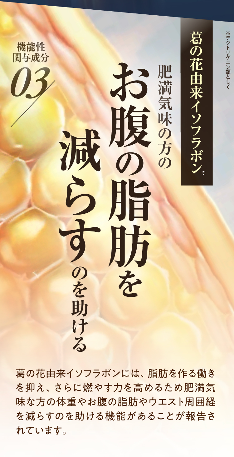 お腹の脂肪を減らすのを助ける