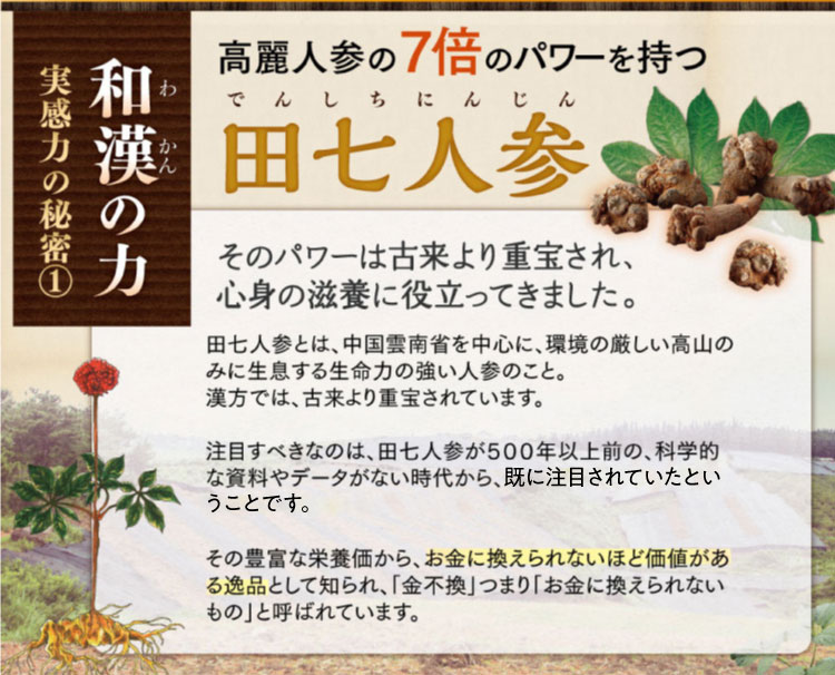 高麗人参の7倍のパワーを持つ田七人参 そのパワーは古来より重宝され、その心身の滋養に役立ってきました。