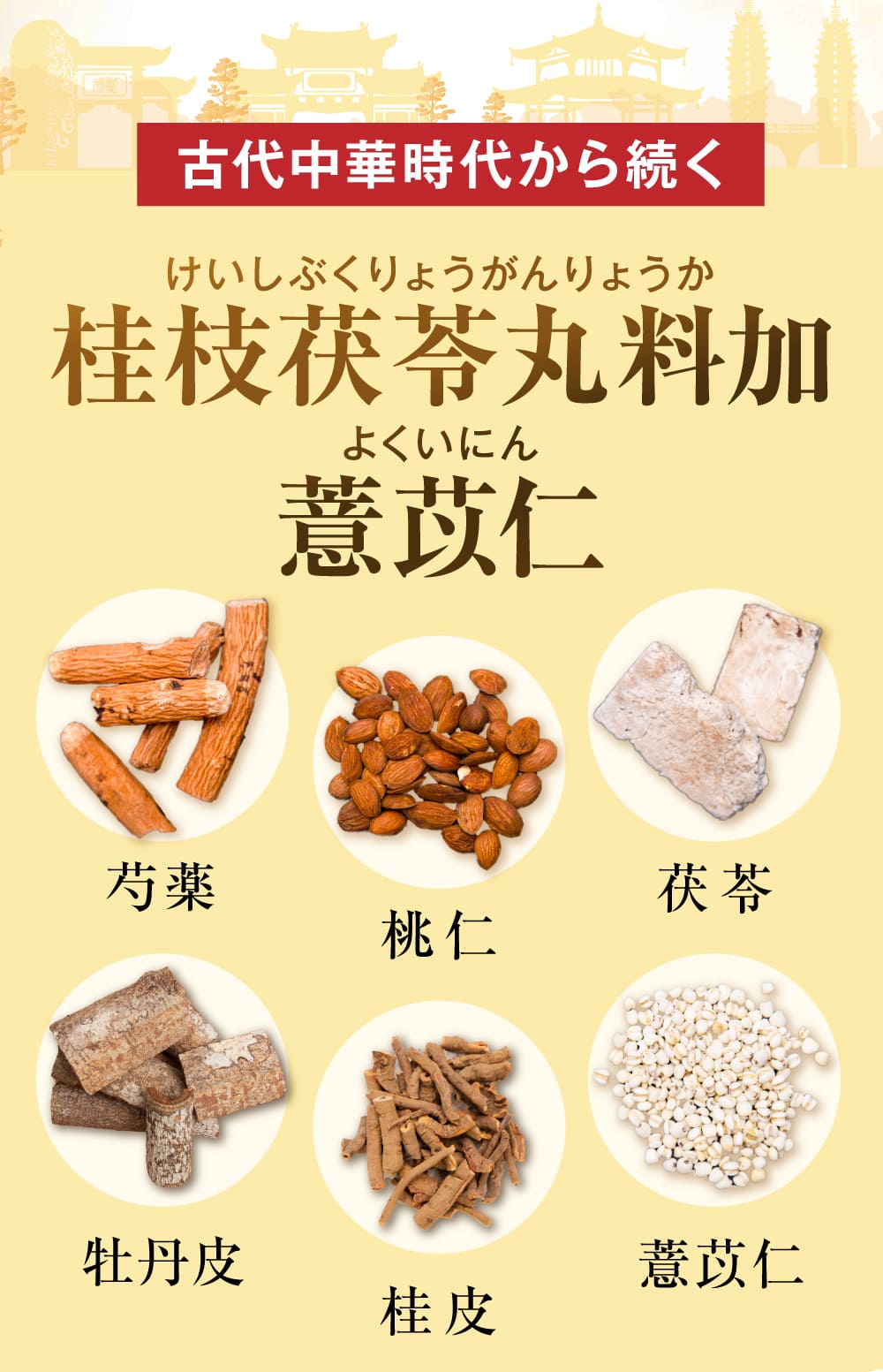 古代中華時代から続く、桂枝茯苓丸料加薏苡仁。