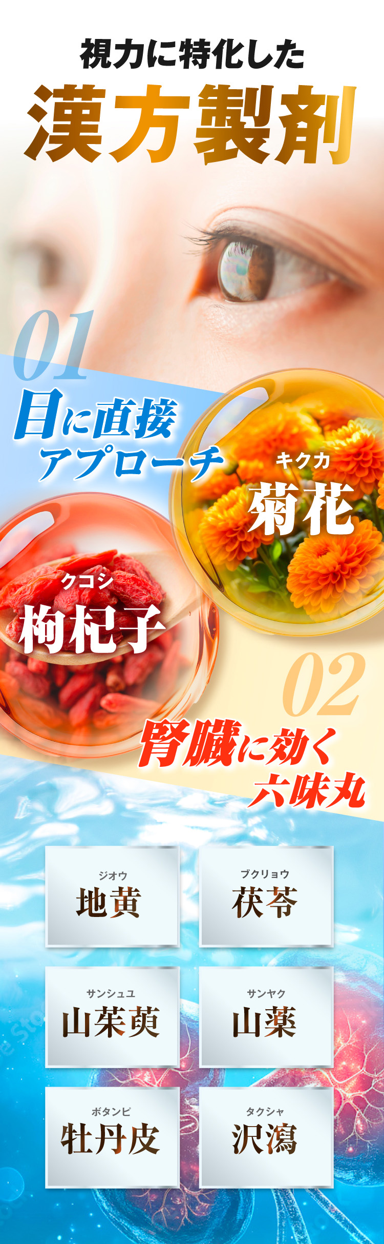 視力に特化した漢方製剤
