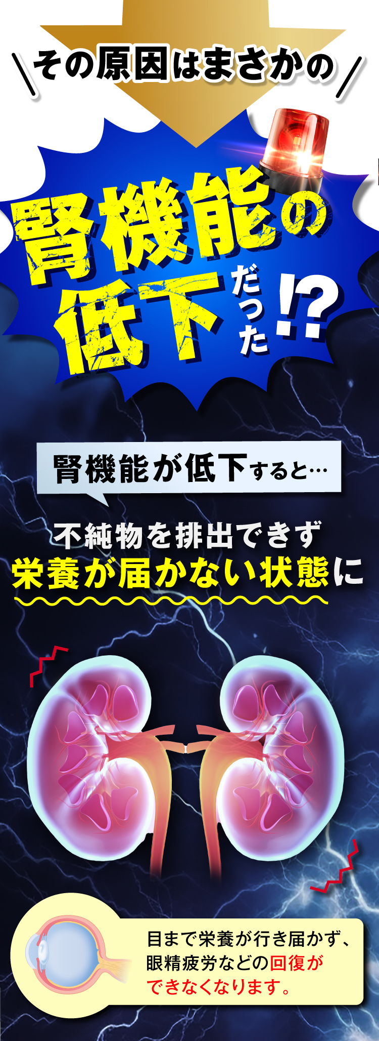 その原因は、腎機能の低下だった！腎機能が低下すると、不純物が排出できず、栄養が届かない状態に。目まで栄養が届かず、眼精疲労などの回復が出来なくなってしまいます。