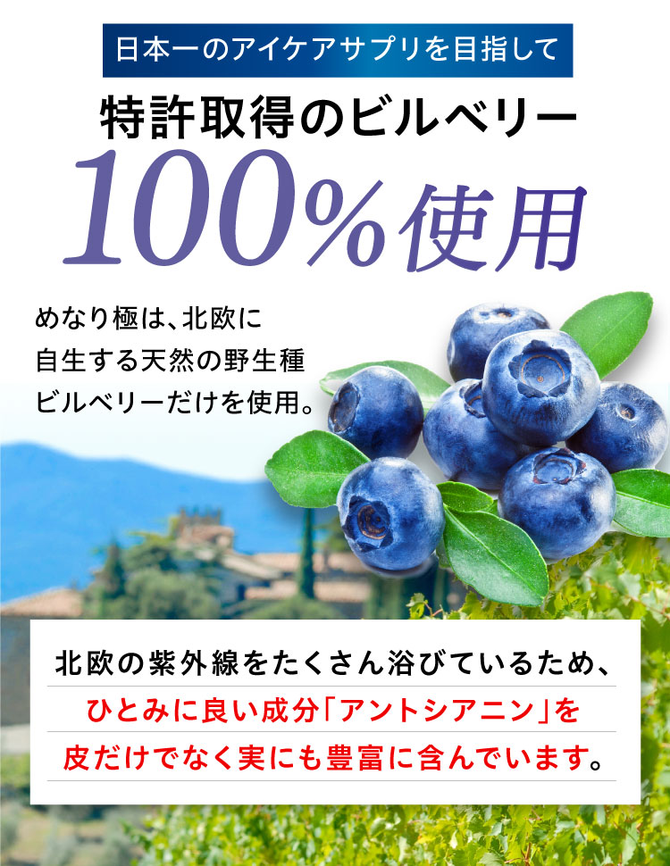 めなり極は、日本一のアイケアサプリを目指して、特許取得ビルベリーを100％使用。