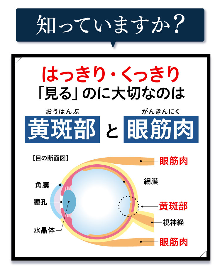 公式【めなり極】目の疲労感とぼやけ・かすみをＷで改善する機能性表示食品 | さくらの森 公式通販