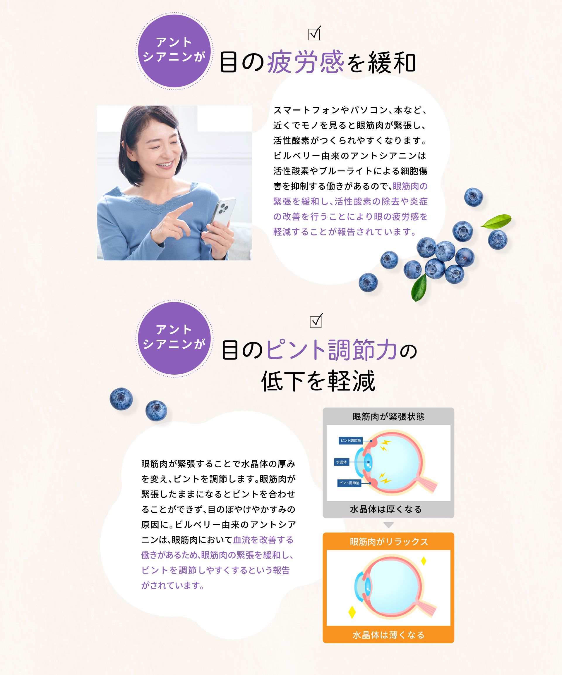 アントシアニンが目の疲労感を軽減することが報告されています。