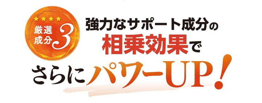 厳選成分３、強力なサポート成分の相乗効果でさらにパワーアップ。