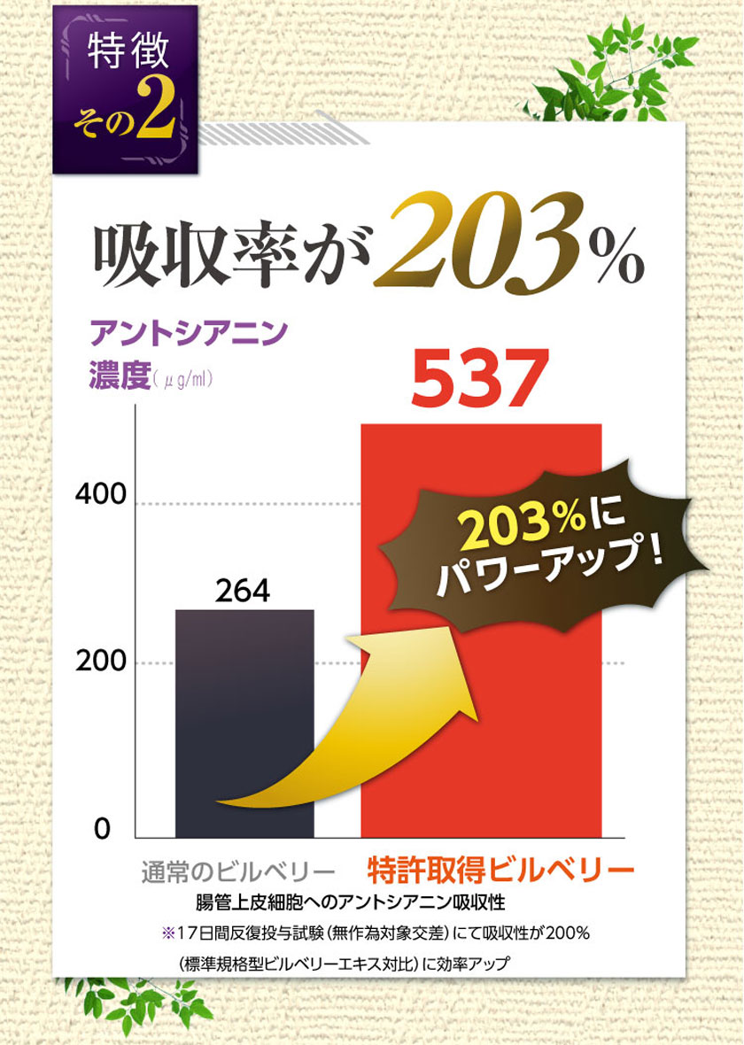 通常のビルベリーに比べて吸収率も203%。