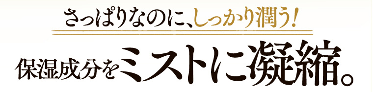 Point.1　さっぱりなのにしっかり潤う！保湿成分をミストに凝縮。微粒子ミストに5大保湿成分を配合