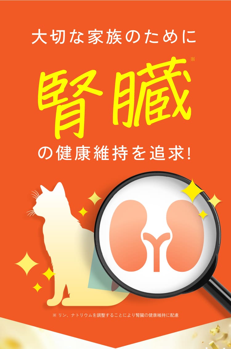 大好きな家族のために腎臓の健康維持を追求