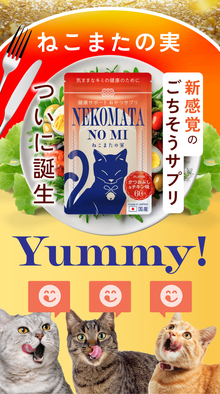 新感覚のごちそうサプリついに誕生