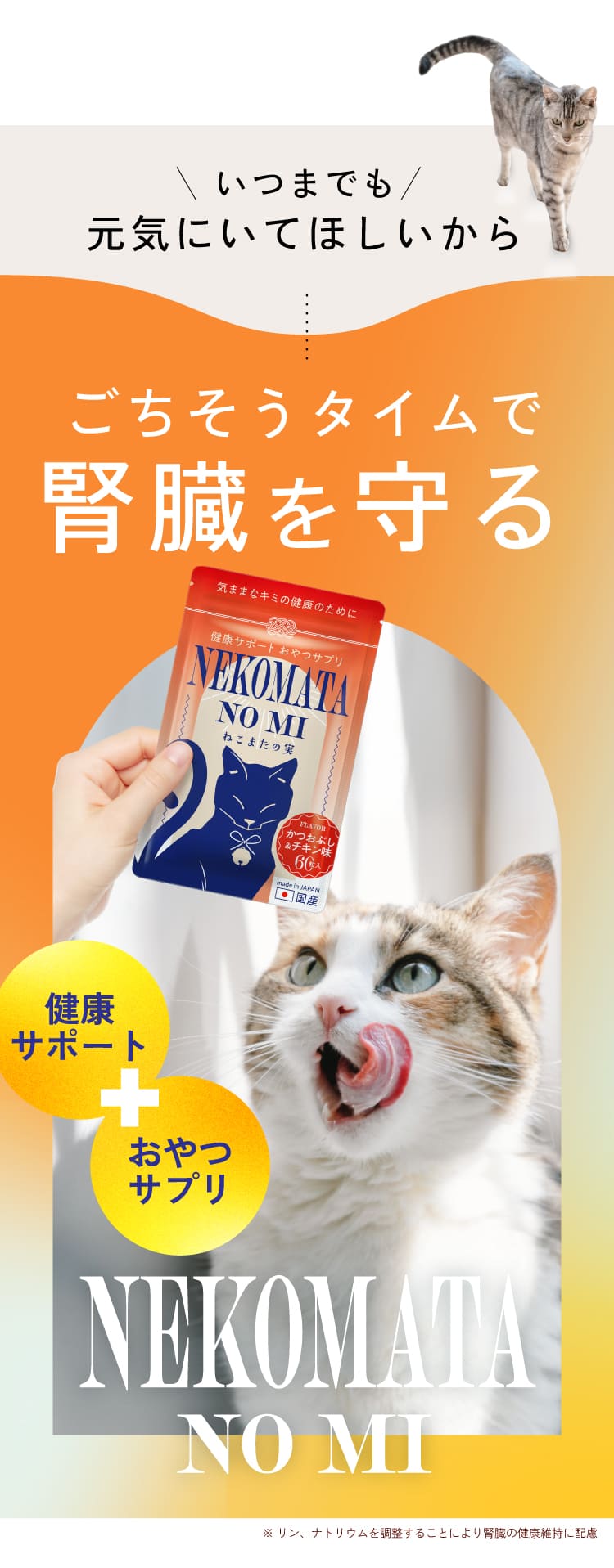 ごちそうタイムで健康を守る