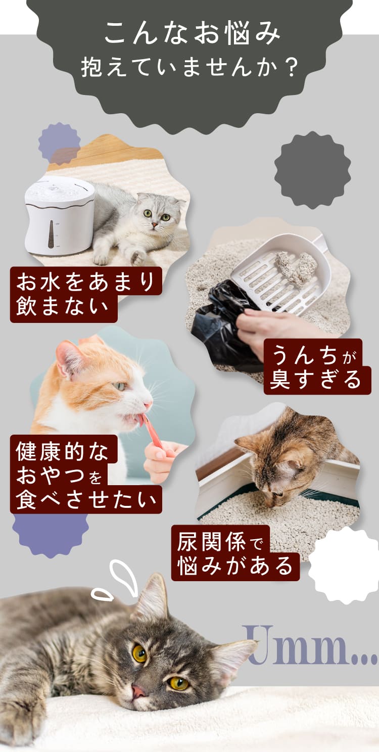 こんなお悩みないですか?
