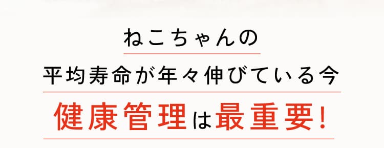 ねこちゃんは腎臓のケアが最重要