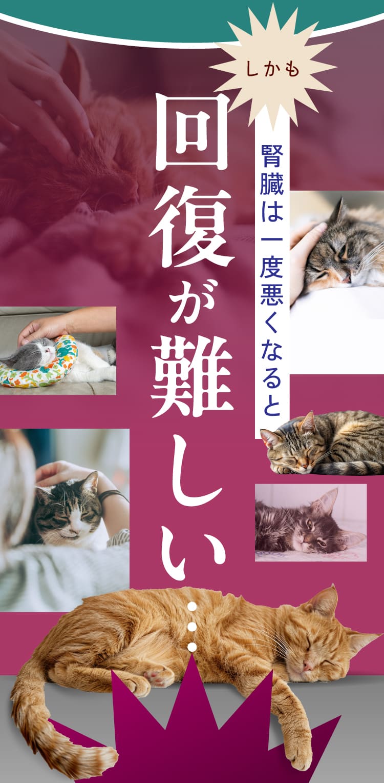 一度悪くなると回復が難しい
