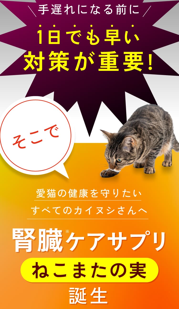 だからこそ一日でも早い対策が大事