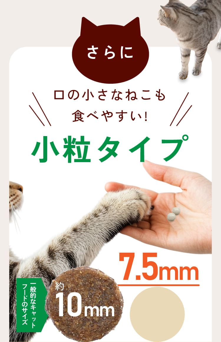 小粒で食べやすい