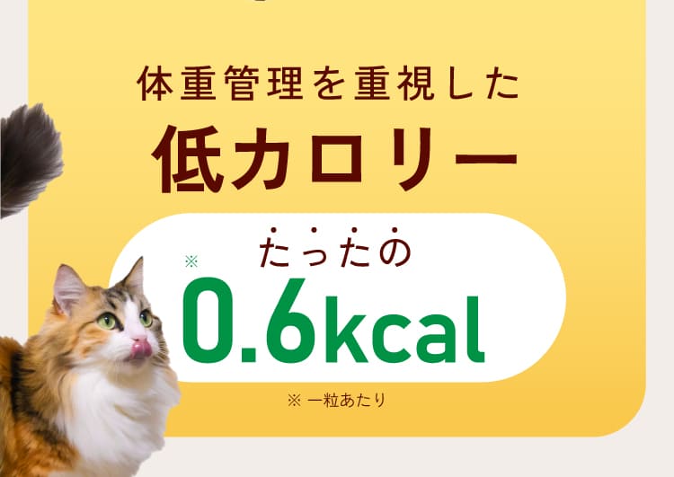 低カロリー たったの0.6キロカロリー