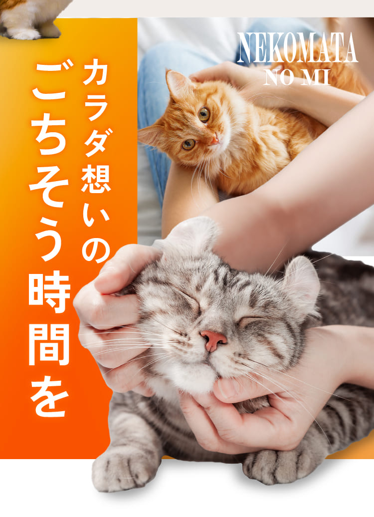 カラダ想いのごちそう時間を