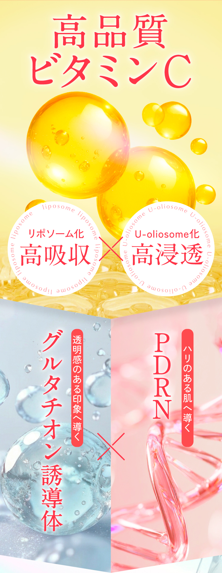 高品質ビタミンC×グルタチオン誘導体×PDRN