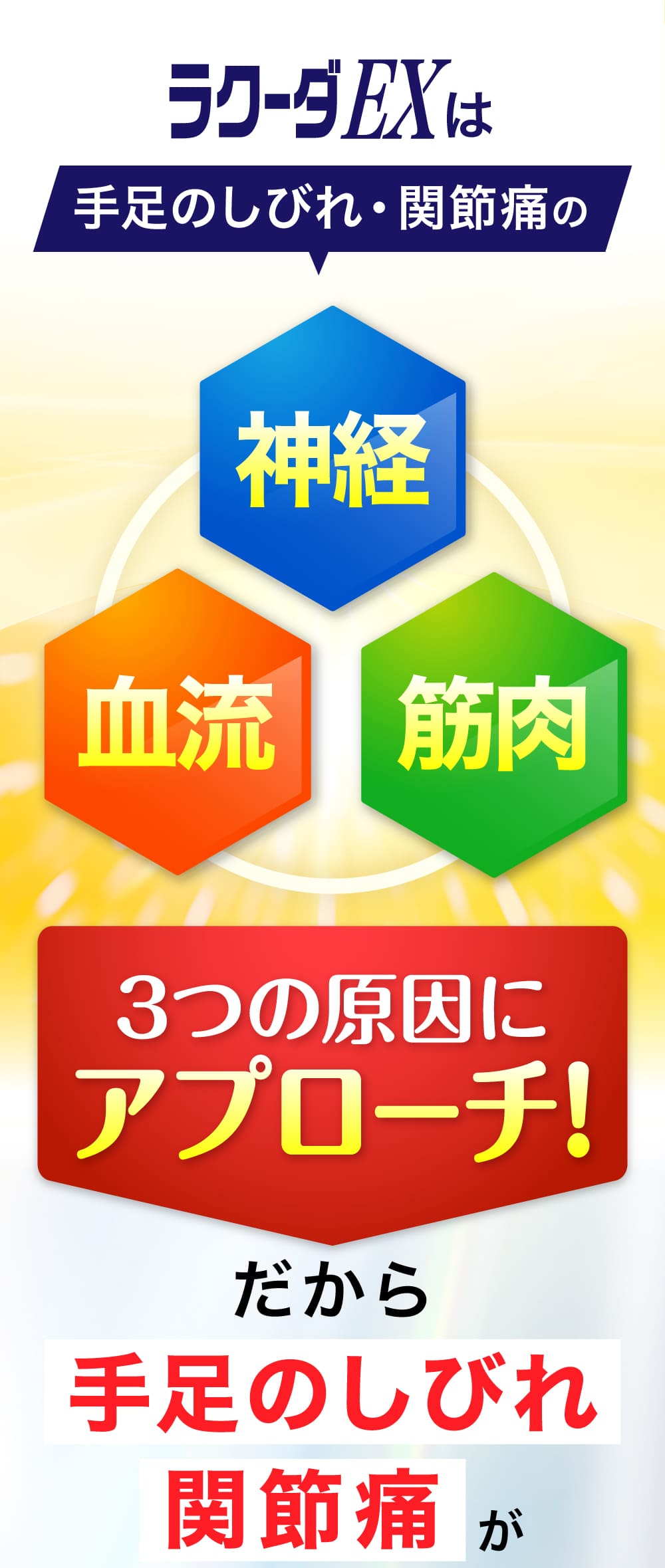 ラクーダEXは、神経・血流・筋肉の、3つの原因へアプローチ！