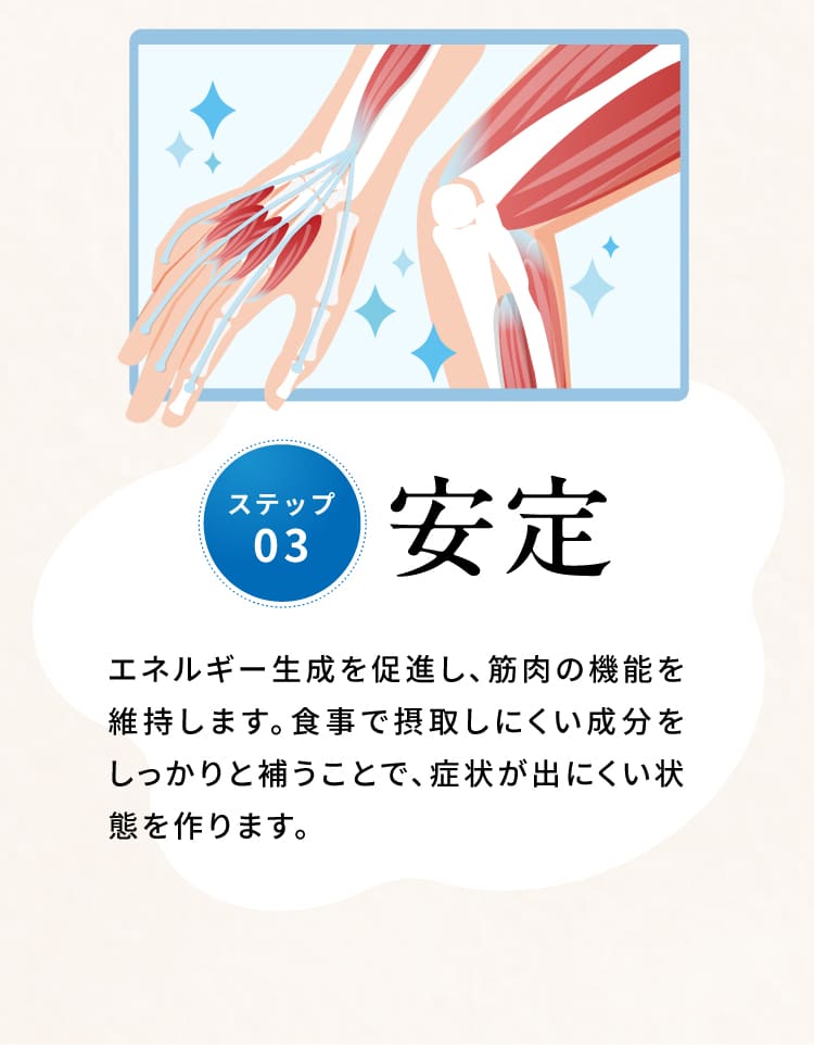 ステップ3:安定