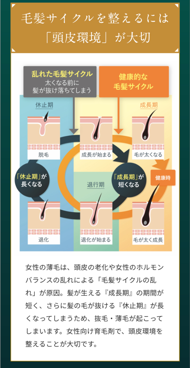 毛髪サイクルを整えるには「頭皮環境」が大事