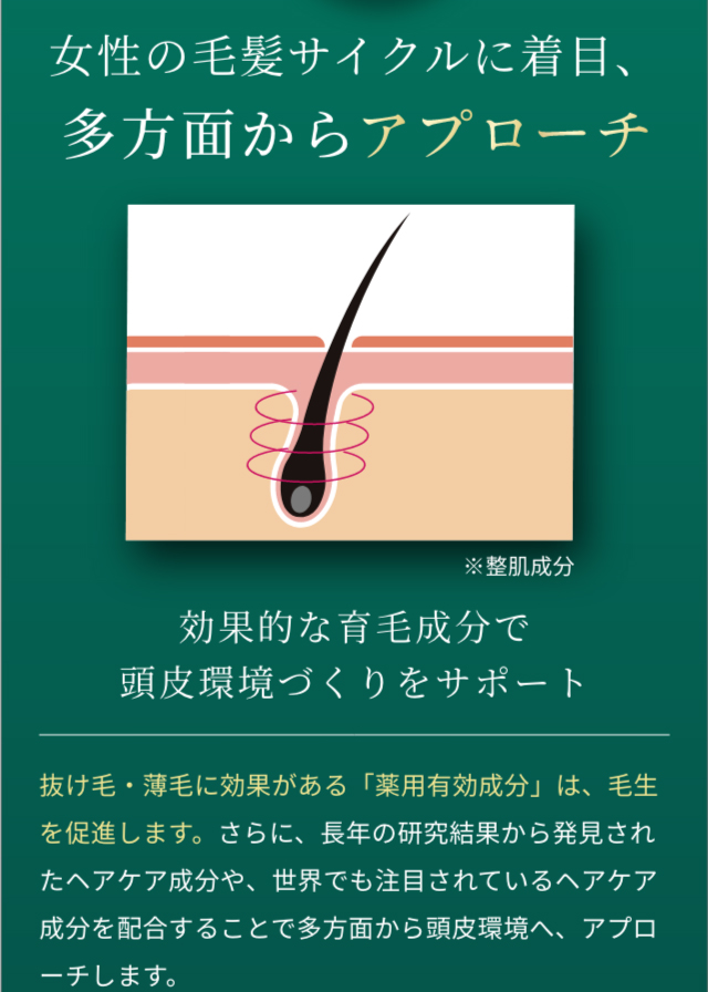 女性の毛髪サイクルに着目、多方面からアプローチ。効果的な育毛成分で頭皮環境づくりをサポート