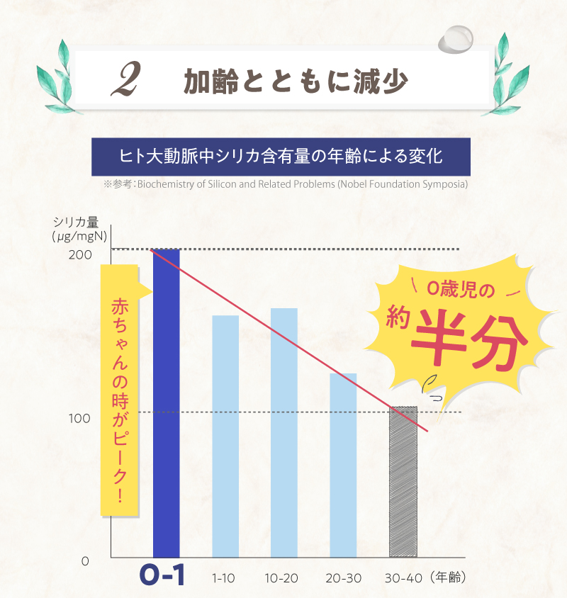 加齢とともに半減。