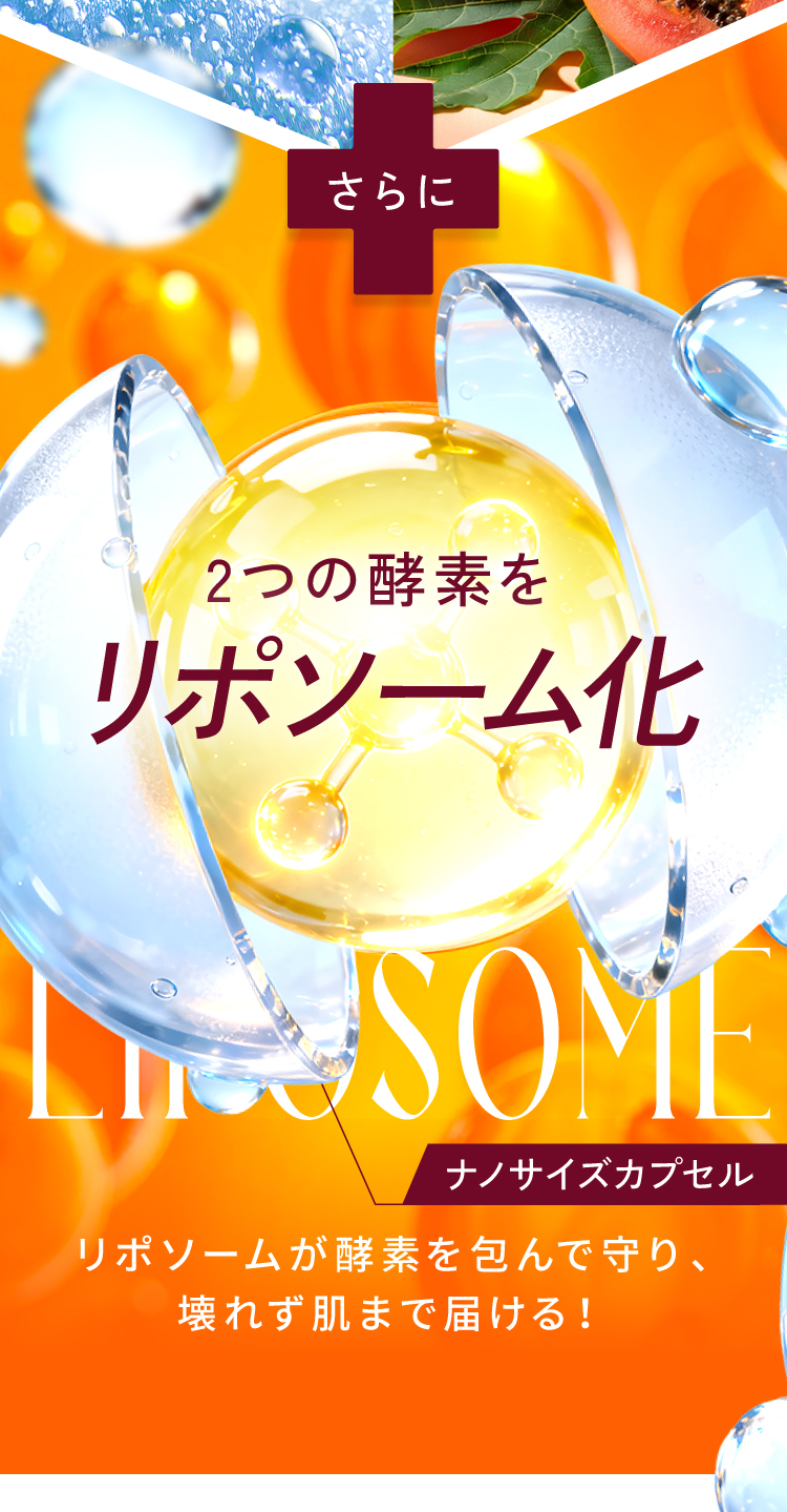 さらに2つの酵素をリポソーム化！