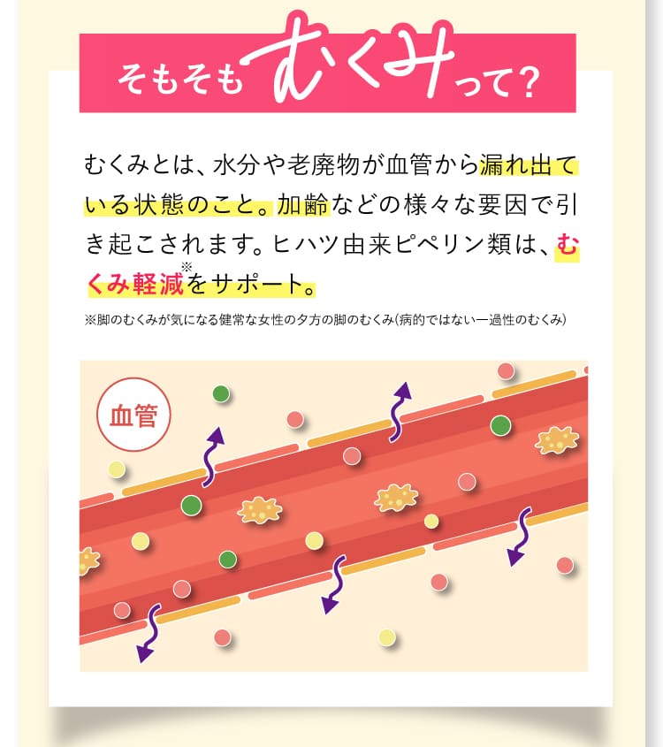 そもそもむくみって？むくみとは、水分や老廃物が血管から漏れ出ている状態のこと。加齢などの様々な要因で、細胞同士の結びつきは弱まっていきます。ヒハツ由来ピペリン類は、その結びつきを強め、むくみ軽減をサポート。