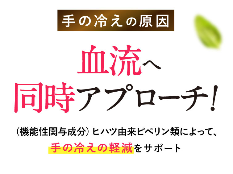 冷えの原因、血流へ同時アプローチ！ヒハツ由来ピペリン類によって、血液を温め、その血液を流すことで冷えの軽減をサポート。