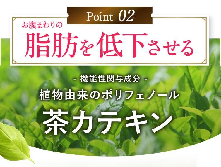 Point2　脂肪吸収を抑える、茶カテキン。