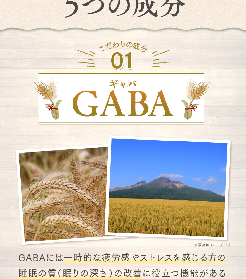 GABAには一時的な疲労感やストレスを感じる方の睡眠の質（眠りの深さ）の改善に役立つ機能があることが報告されています。