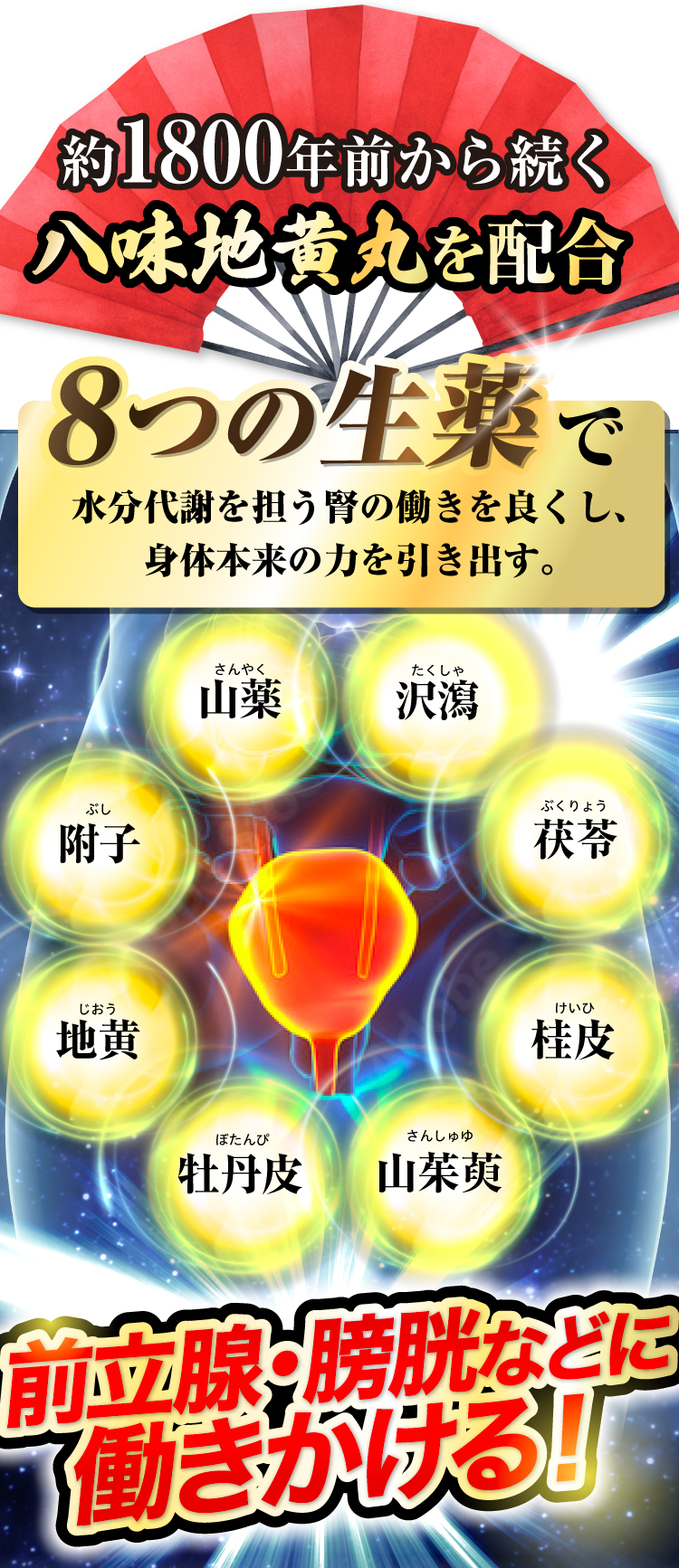 約1800年前から続く八味地黄丸を配合。8つの生薬で、水分代謝を担う腎の働きを良くし、身体本来の力を引き出します。