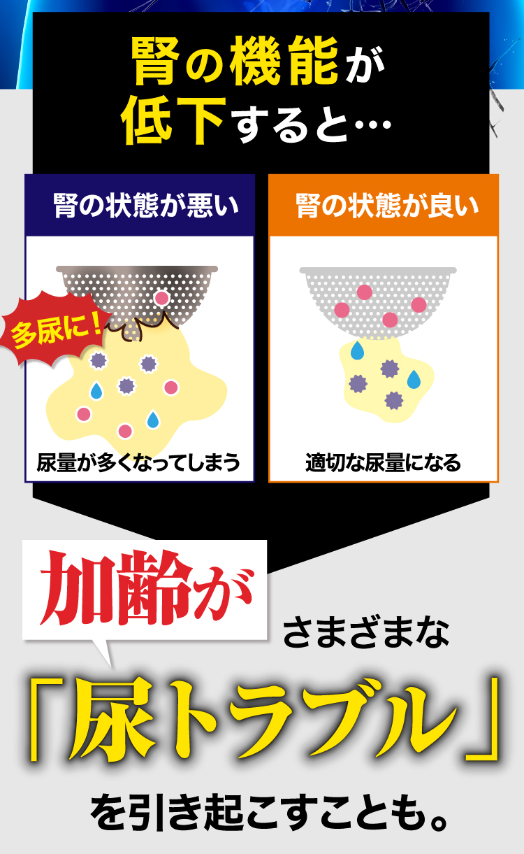 腎の機能が低下すると......さまざまな「尿トラブル」を引き起こします。