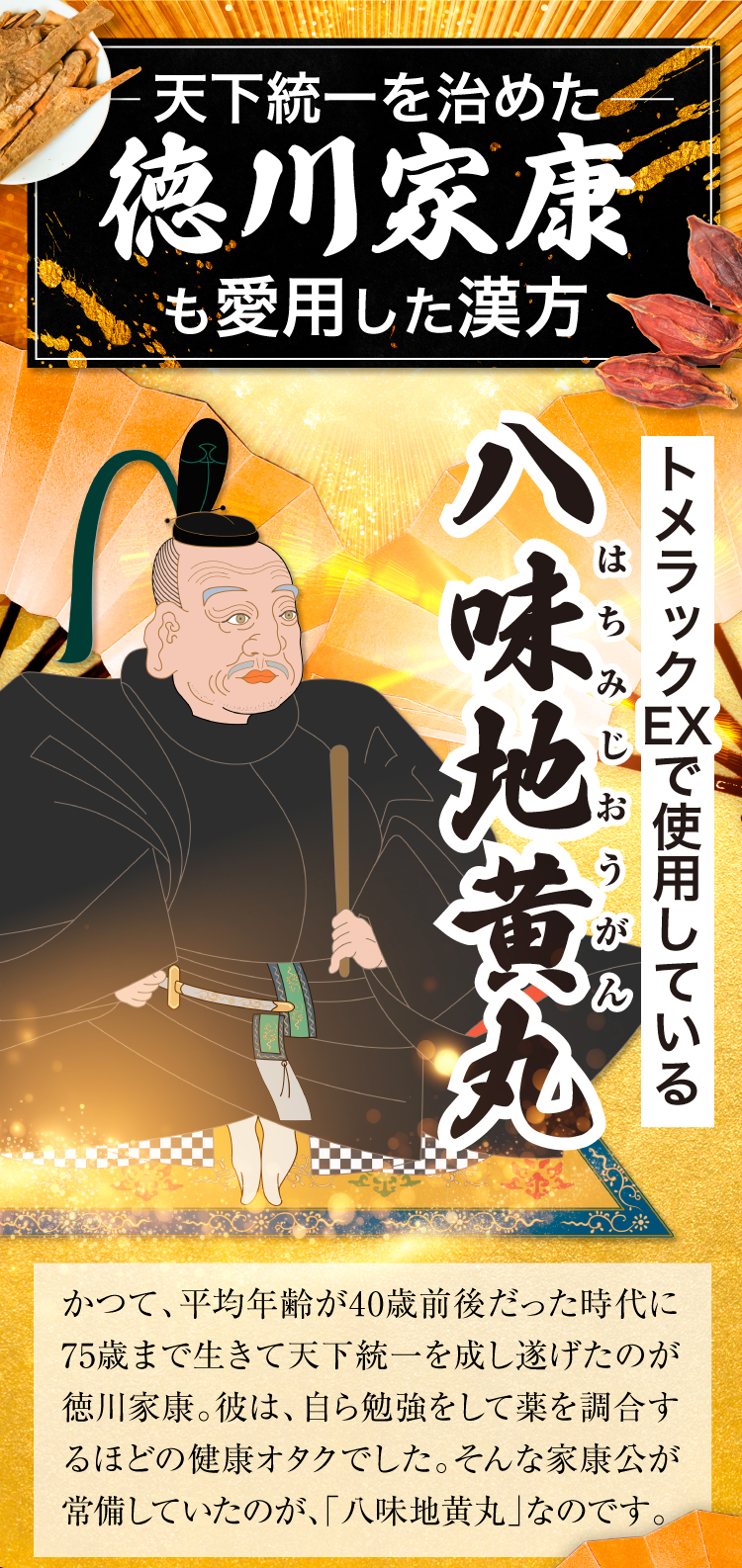 天下を統一した徳川家康も愛用した漢方。それが八味地黄丸。